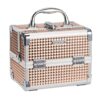 Frenessa Makeup Train Case Portable Cosmetic Box Jewelry Organizer 2 Tier.jpg