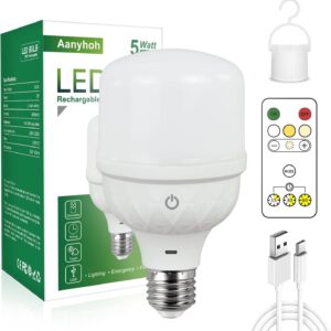 Usb Rechargeable Light Bulbs With Remote Control 5w Led Battery.jpg