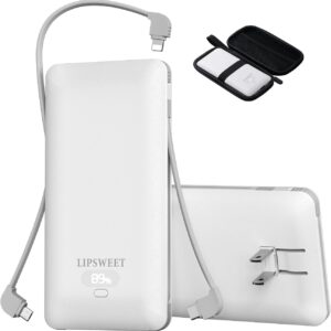 Lipsweet 10000mah Portable Charger With Built In Cables And Ac Wall.jpg