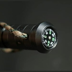 Compass Head For Tactical Stick.jpg