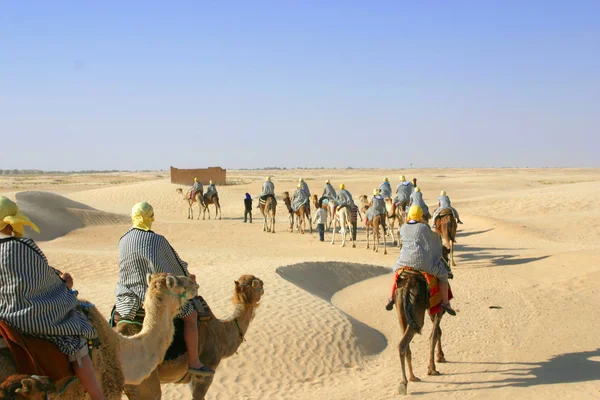 Depositphotos 5756467 Stock Photo Tourists Riding Camels In Sahara